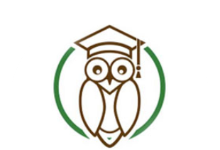 Wise Owl Icon